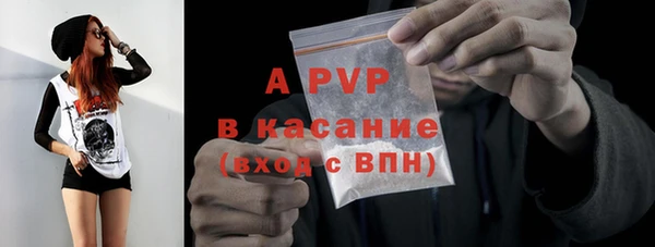 стаф Алексин