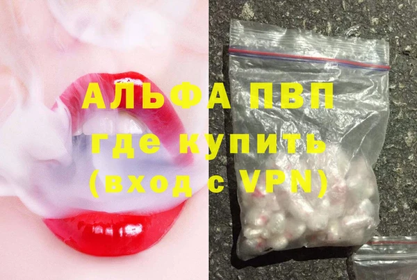 стаф Алексин