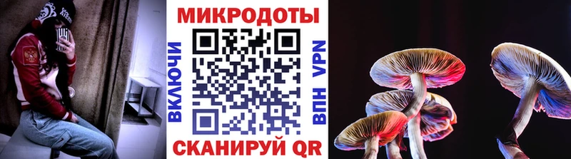 Псилоцибиновые грибы мицелий  kraken ONION  Чадан 